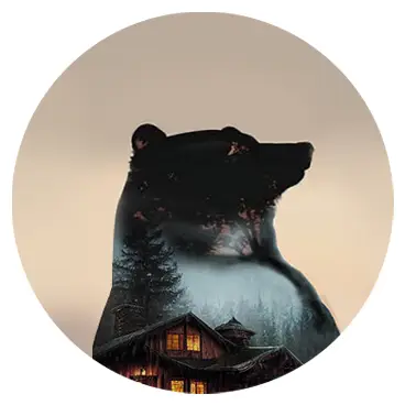 L'OURS JACK BRASSE